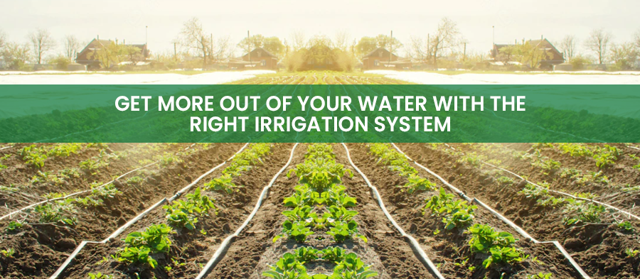 Get More Out Of Your Water with the Right Irrigation System for Farms