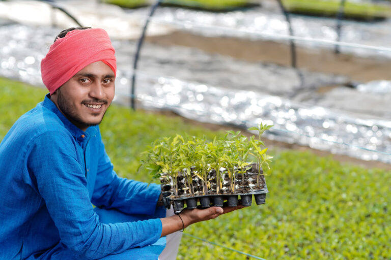 Drip irrigation system used in Rajasthan agriculture to conserve water and improve crop yields