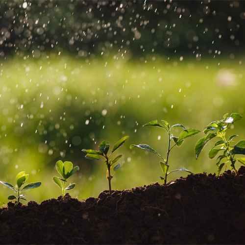 Modern irrigation system in sustainable agriculture improving crop growth and water efficiency