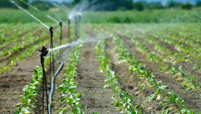 Top drip irrigation system manufacturer in maharashtra