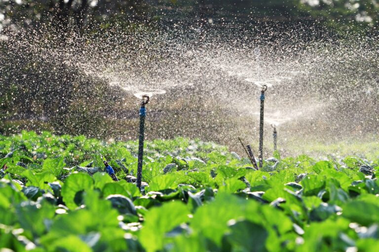 How to choose the best irrigation system for farms in Maharashtra