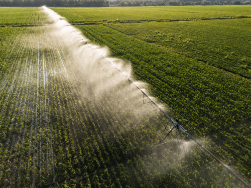 Agricultural irrigation product manufacturer in Kolkata offering drip, sprinkler and micro irrigation solutions
