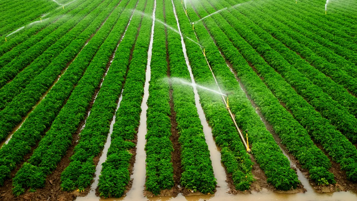 Micro Irrigation