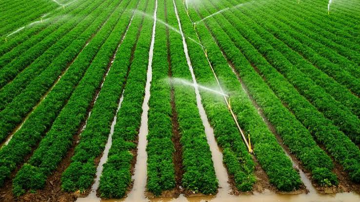Top irrigation product manufacturers in Ahmedabad Gujarat