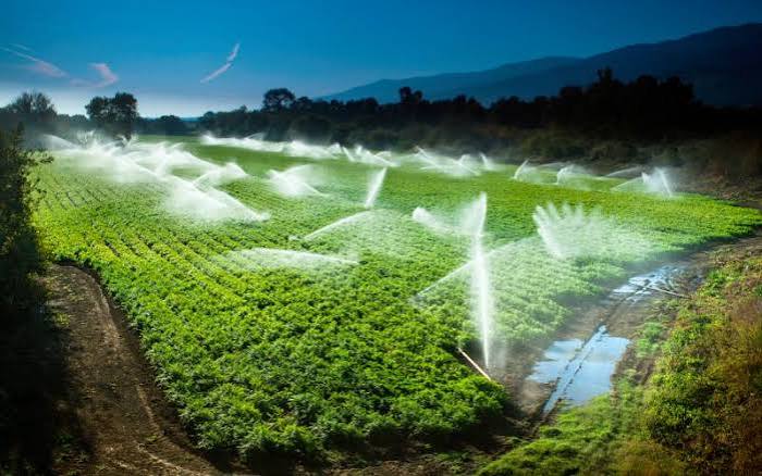 How Much Water Should Your Crop Be Given?
